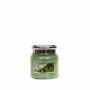 VC Mini jarre eucalyptus mint