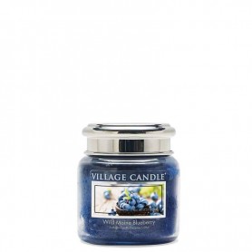 VC Mini jarre wild maine blueberry
