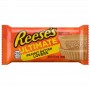 REESE'S ultimate peanut butter lovers 2 cups