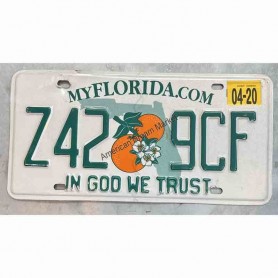 License plate florida state