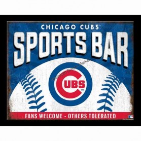 Cubs sport bar