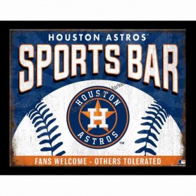Astros sport bar