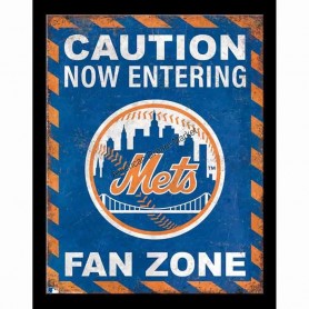 Mets fan zone