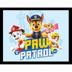 Paw patrol