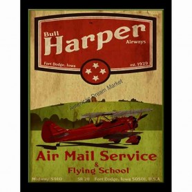 Air mail service