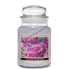 Cheerful grande jarre lilacs in bloom