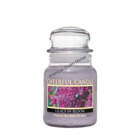 Cheerful petite jarre lilacs in bloom