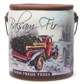 Cheerful farm fresh balsam fir