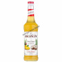 Sirop monin 0.70L pina colada