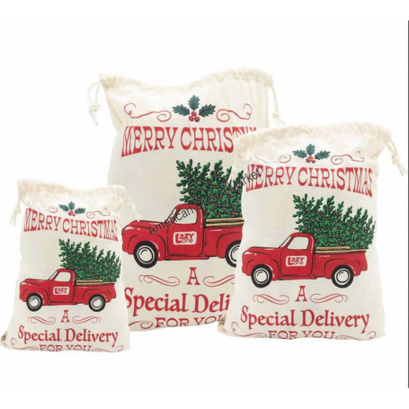 Special delivery christmas gift bag