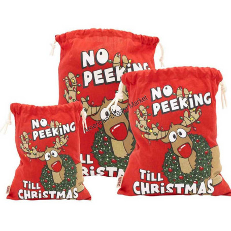 No peeking christmas gift bag