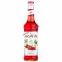 Sirop monin 0.70L spicy