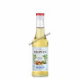 Sirop monin 0.25L hazelnut sugar free