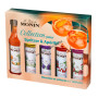 Sirop monin 5X50ml collection pour spritzer and aperitifs