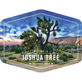 Magnet welcome to joshua tree