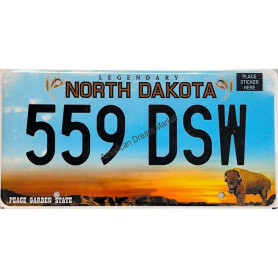 License plate north dakota