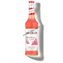 Sirop monin 0.70L bubble gum