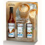 Sirop monin 3X25cl collection sans sucre