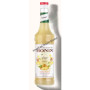 Sirop monin 0.70L concentre ginger