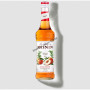 Sirop monin 0.70L peach