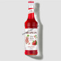 Sirop monin 0.70L candy strawberry