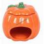Bruleur cute pumpkin