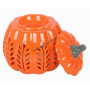 Bruleur pumpkin orange
