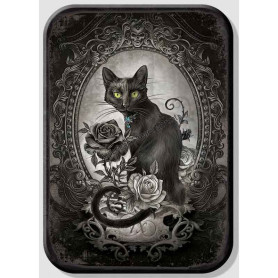 Magnet alchemy black cat
