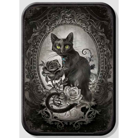 Magnet alchemy black cat