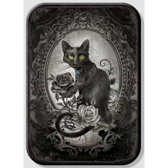 Magnet alchemy black cat