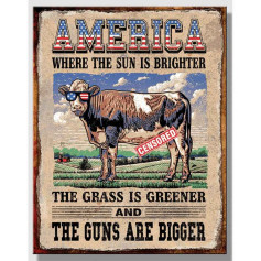 Plaque metal america