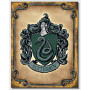 Plaque metal harry potter slytherin