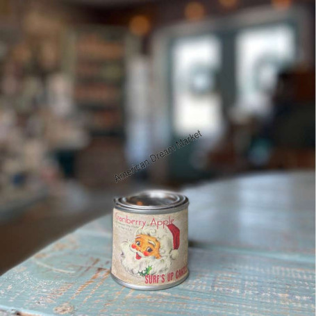 Surf up candle cranberry apple PM
