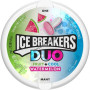 Ice breakers duo watermelon