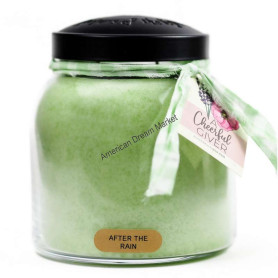 Cheerful papa jarre after the rain