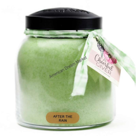 Cheerful papa jarre after the rain