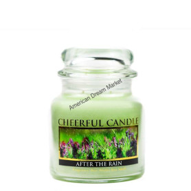 Cheerful moyenne jarre after the rain