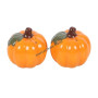 Saliere et poivriere ceramic pumpkin