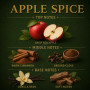 Affinati room spray 4oz apple spice