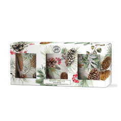 MDW coffret 3 votives verre white spruce