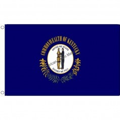 Flag maine