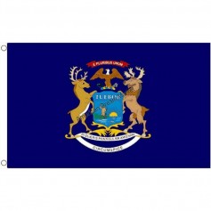 Flag maine