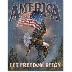 America let freedom reign
