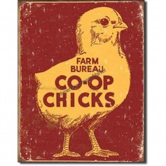 Co-op chicks