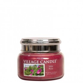 VC Petite jarre wild rose