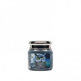 VC Mini jarre wizard's owl