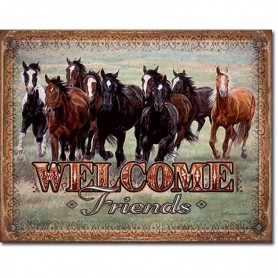 Welcome friends horses